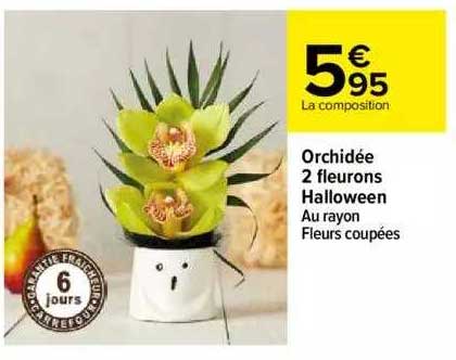 orchidée 2 fleurons halloween