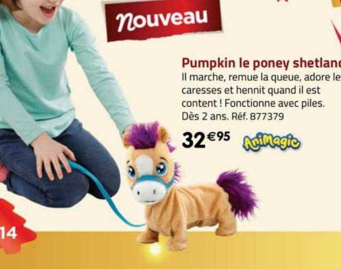 pumpkin le poney shetland animagic