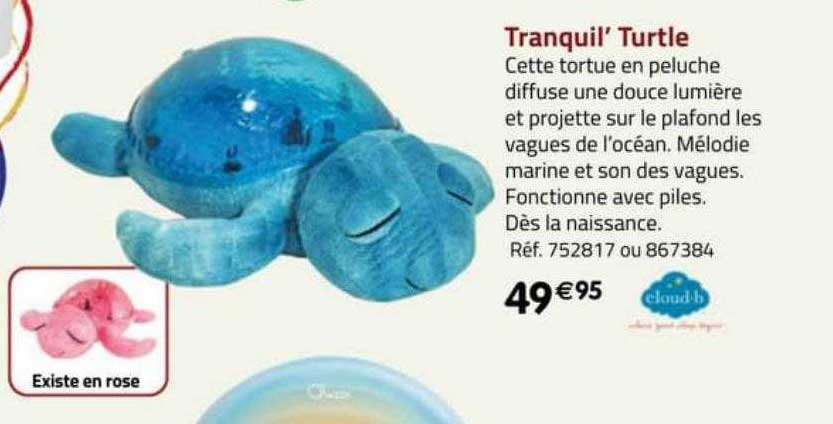 tranquil' turtle