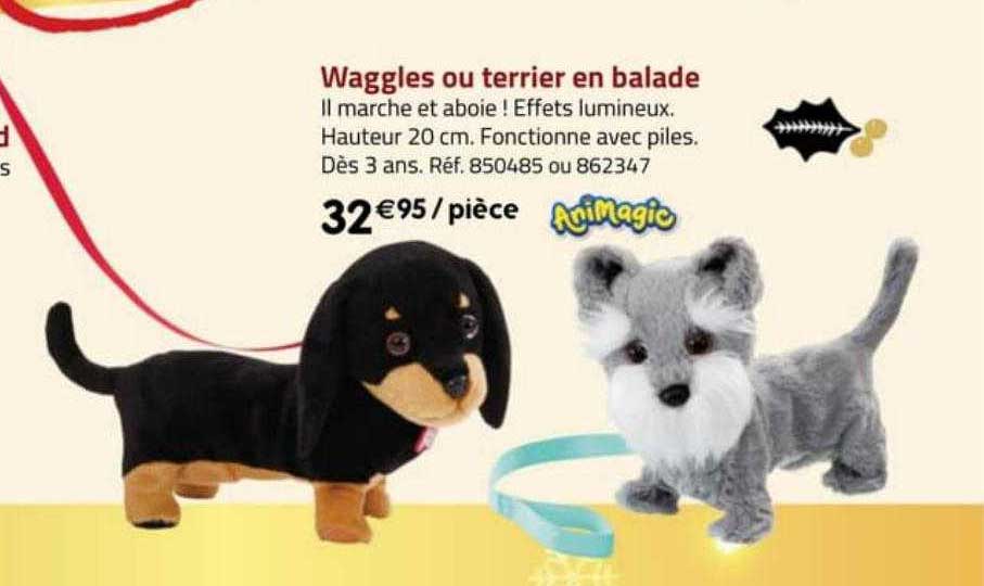 waggles ou terrier en balade animagic