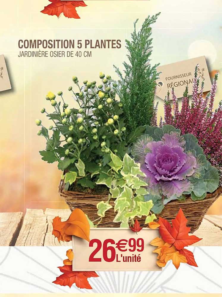 Composition 5 Plantes