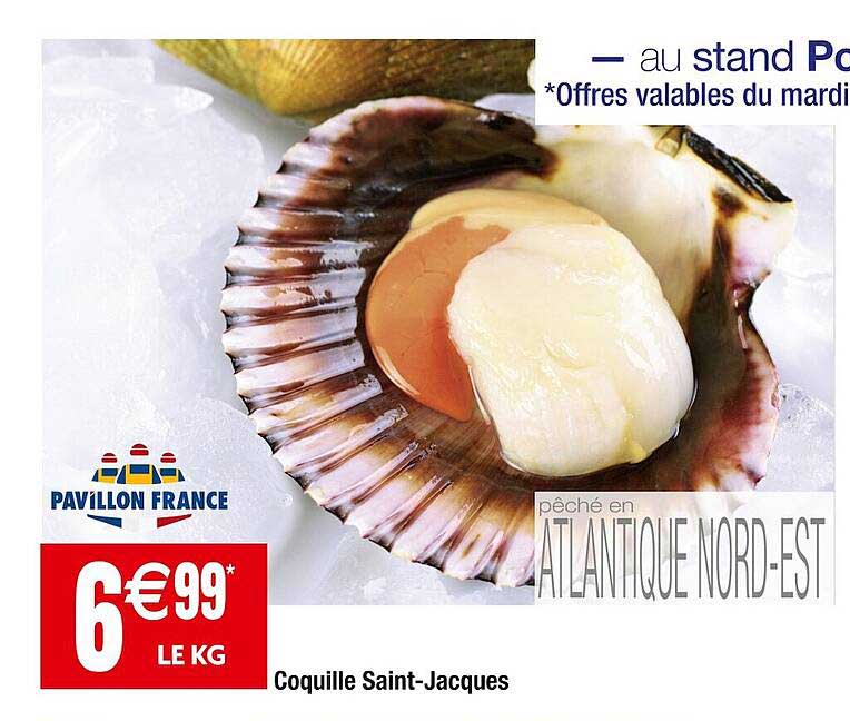 coquille saint-jacques