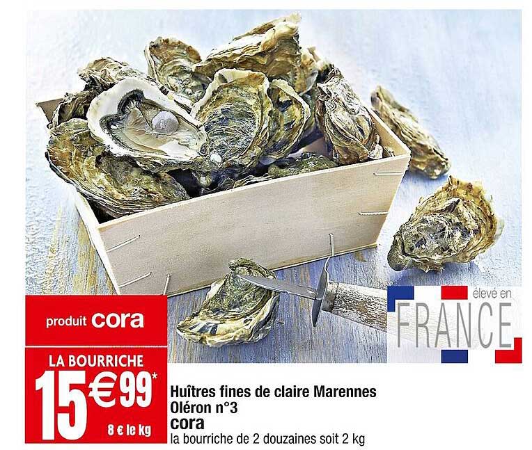 huîtres fines de claire marennes oléron n°3 cora