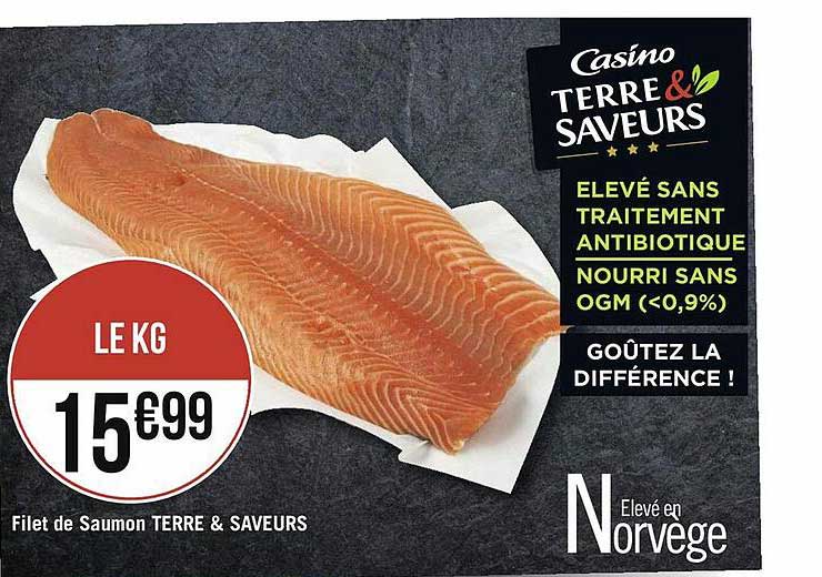 Filet De Saumon Terre & Saveurs