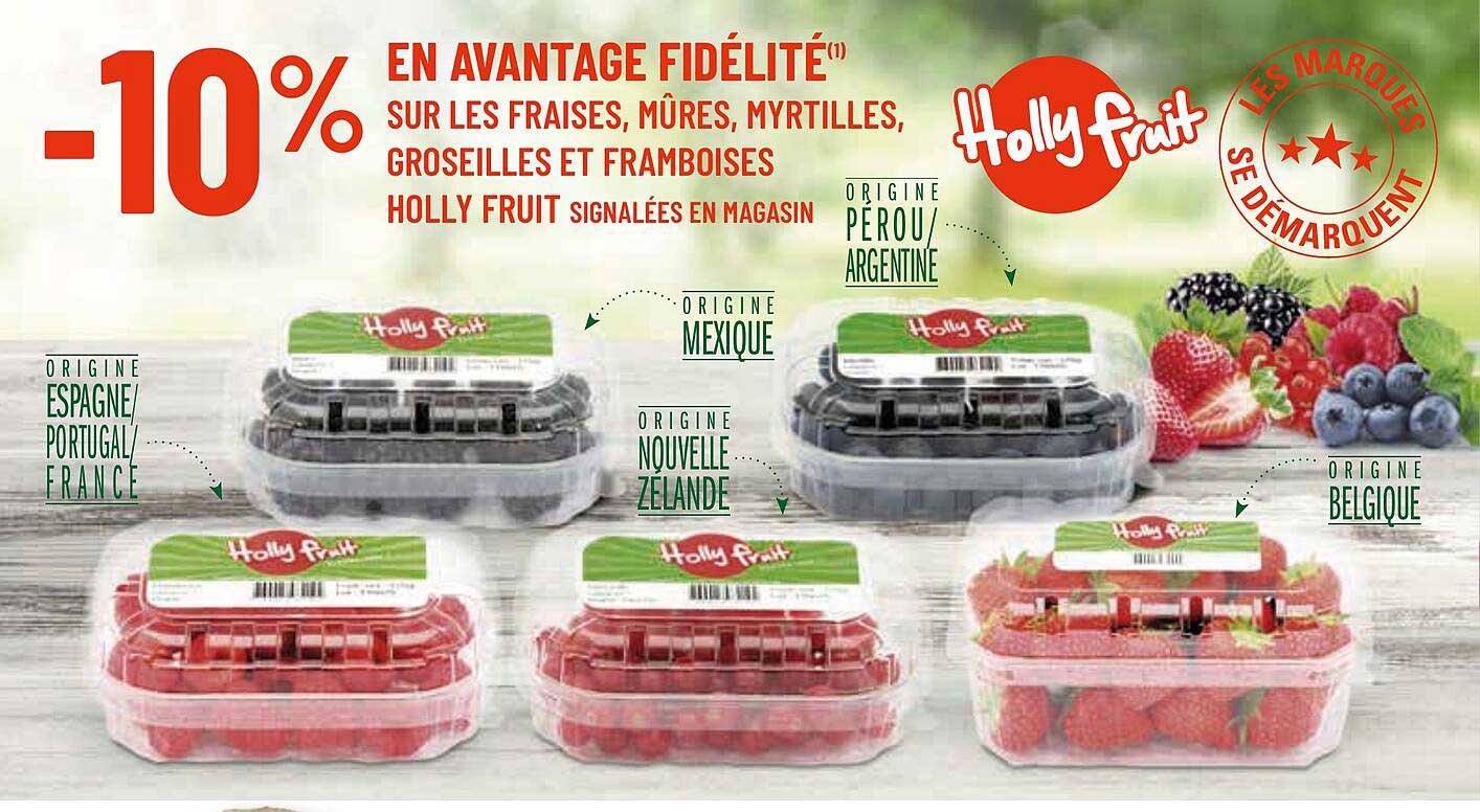 fraises, mûres, myrtilles, groseilles et framboises holly fruit