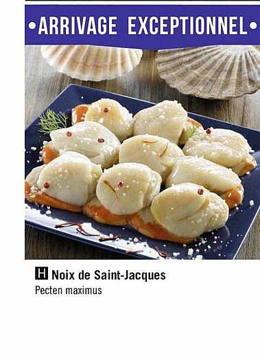 noix de saint-jacques