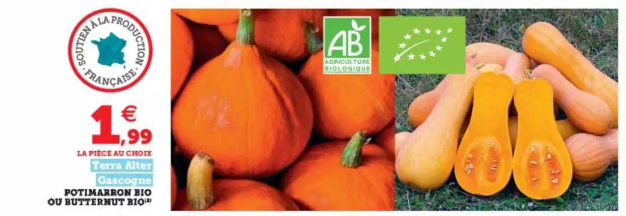 potimarron bio ou butternut bio terra alter gascogne