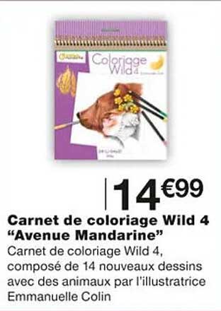 Carnet De Coloriage Wild 4 "avenue Mandarine"
