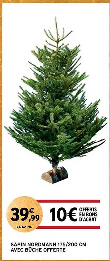 10 euro offerts en bons d'achat à l'achat d'un sapin nordmann 175/200 cm avec bûche offerte