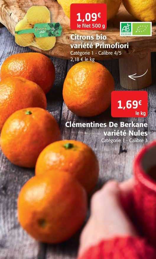 citrons bio variété primofiori clémentines de berkane variété nules