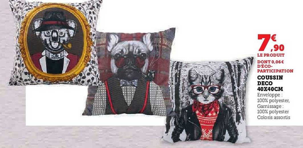 coussin deco 40x40cm