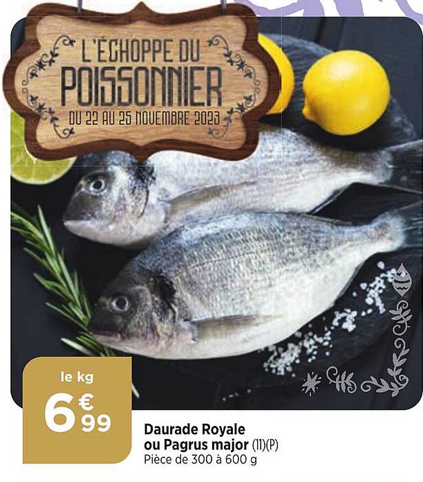 daurade royale ou pagrus major