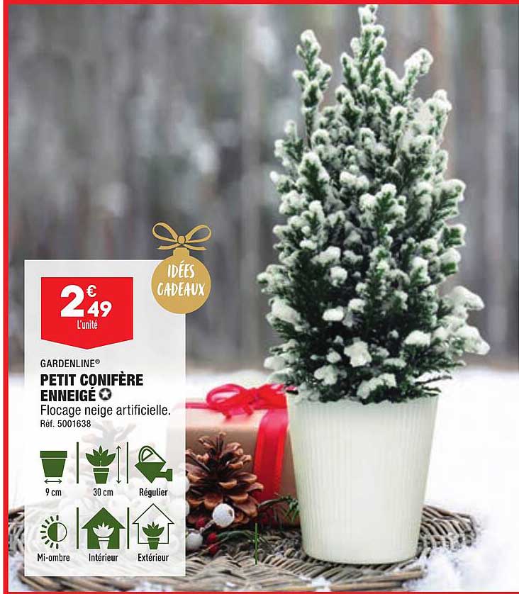 gardenline petit conifère enneigé