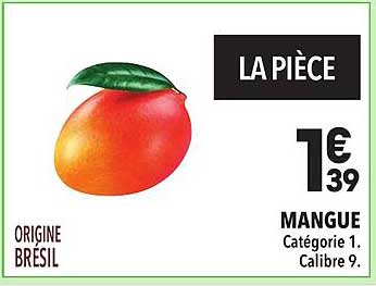 Mangue