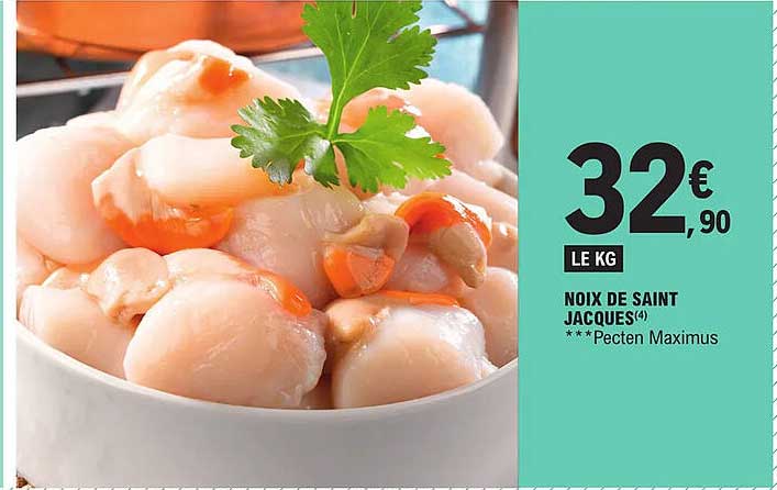 noix de saint jacques
