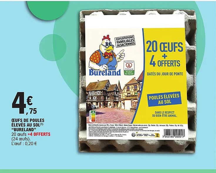 œufs de poules élevés au sol "bureland"