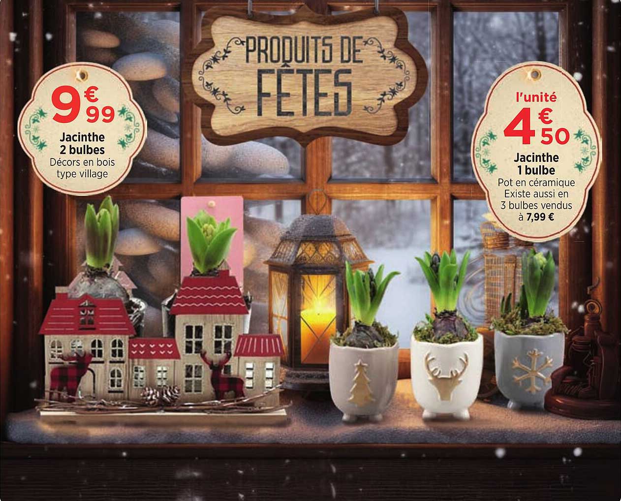 produits de fêtes : jacinthe 2 bulbes, jacinthe 1 bulbe