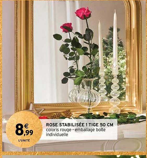 rose stabilisée 1 tige 50 cm