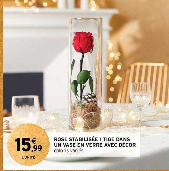rose stabilisée 1 tige dans un vase en verre avec décor
