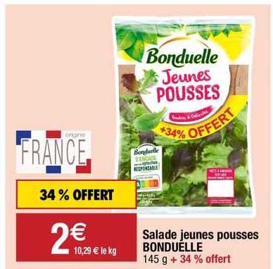 salade jeunes pousses bonduelle