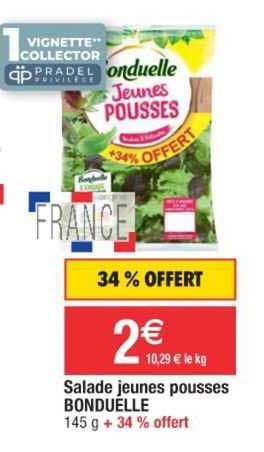 salade jeunes pousses bonduelle