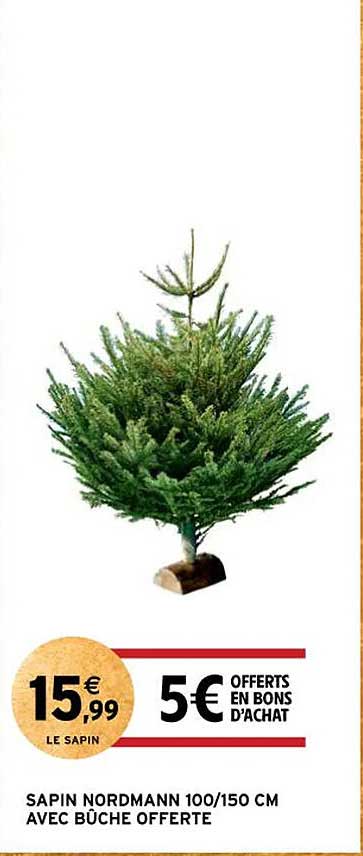 sapin nordmann 100/150 cm avec bûche offerte