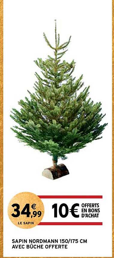 sapin nordmann 150/175 cm avec bûche offerte