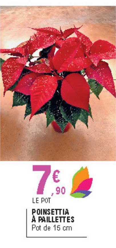 poinsettia à paillettes