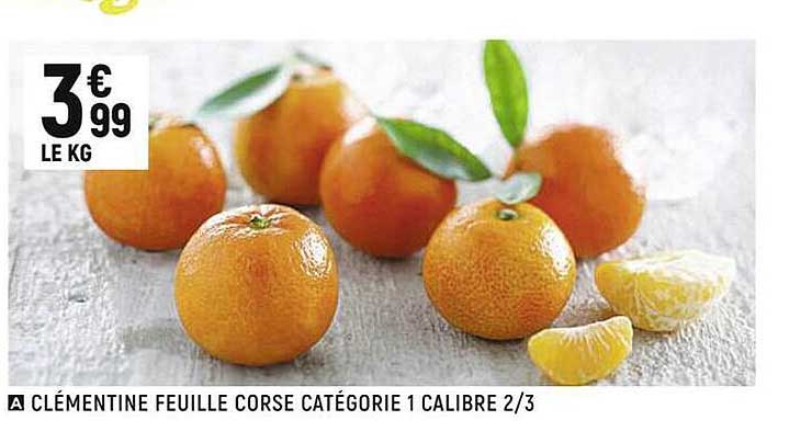 Clémentine Feuille Corse