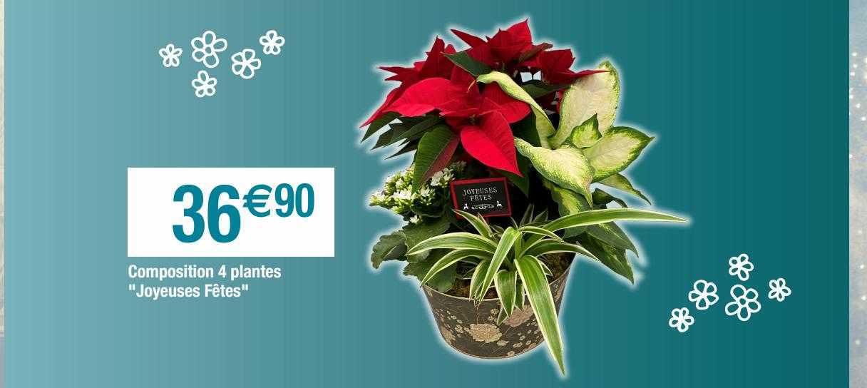 composition 4 plantes "joyeuses fêtes"