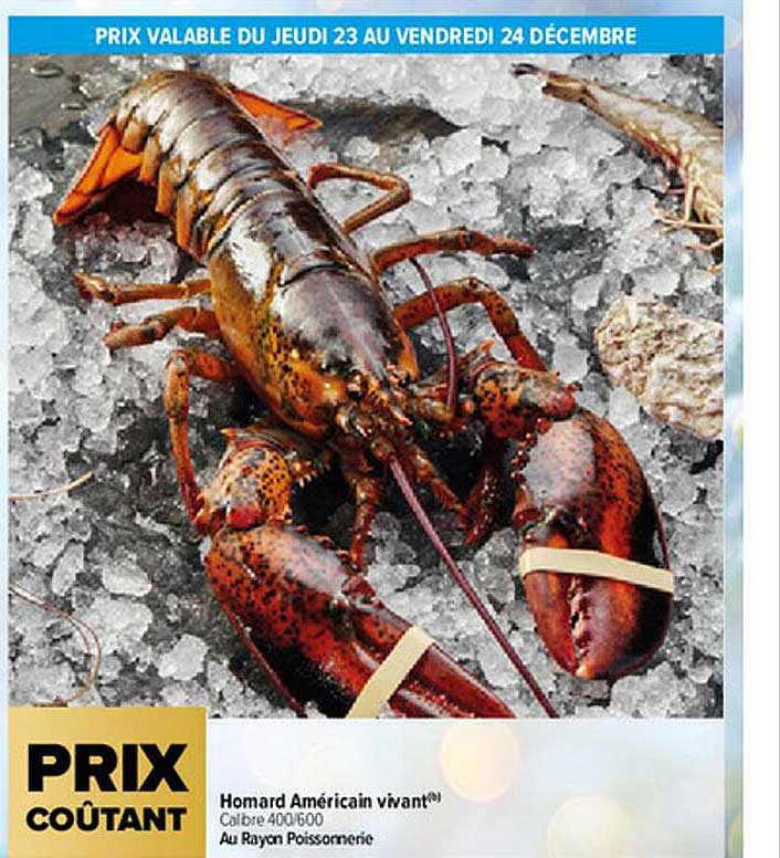 Homard Américain Vivant
