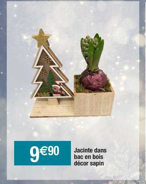 jacinthe dans bac en bois décor sapin
