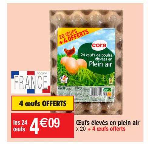 oeufs élevés en plein air