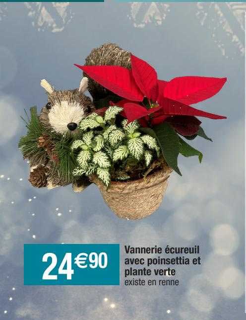 vannerie écureuil avec poinsettia et plante verte