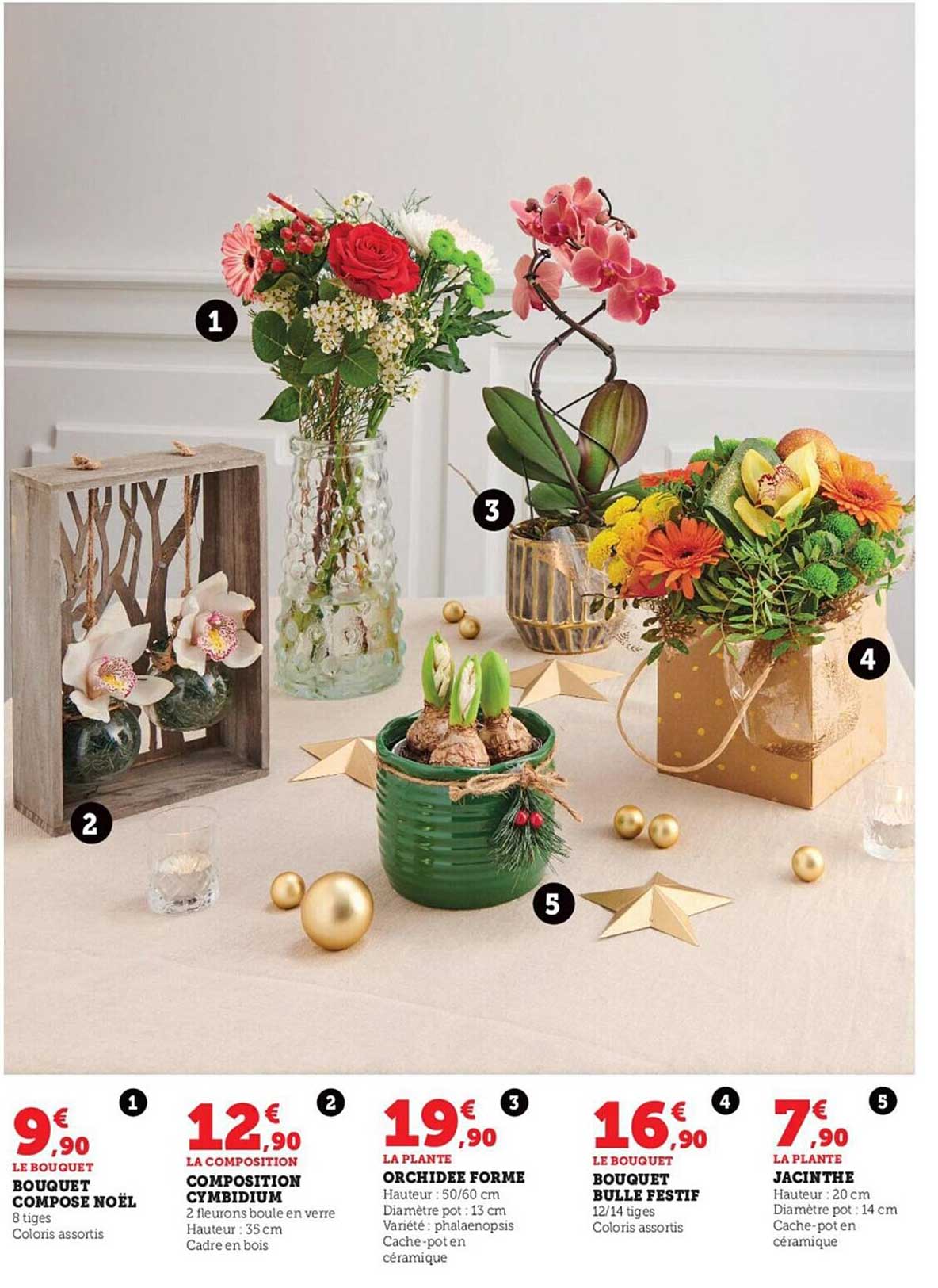 bouquet composé noël, composition cymedium, orchidée forme, bouquet bulle festif, jacinthe
