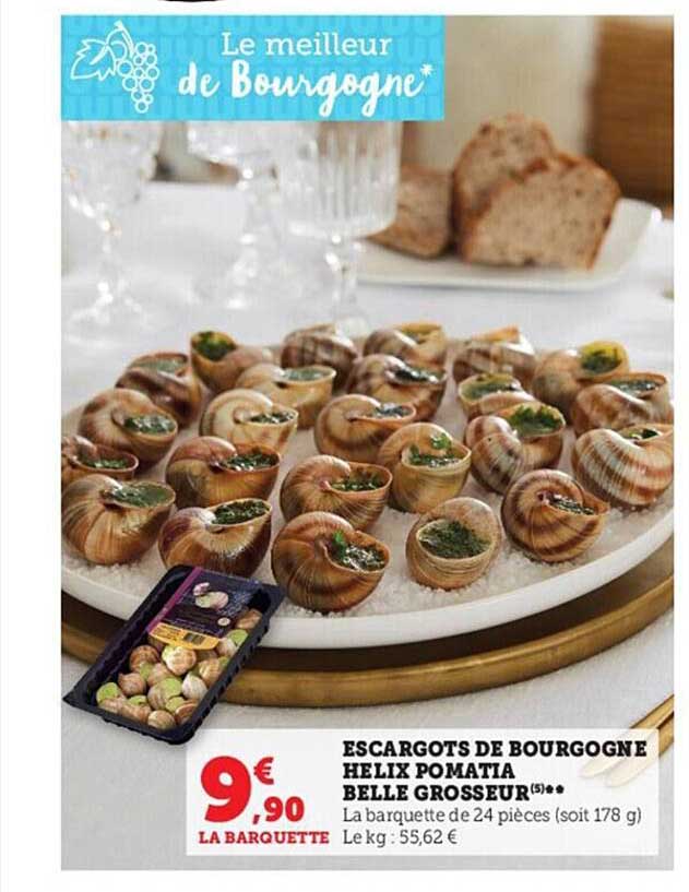 escargots de bourgogne hélix pomatia belle grosseur