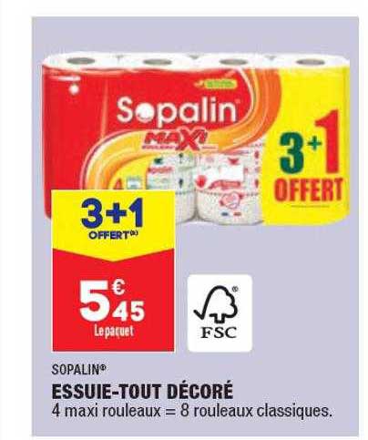essuie-tout décoré sopalin