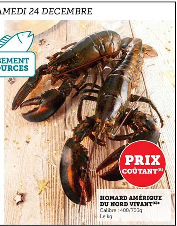 homard amérique du nord vivant