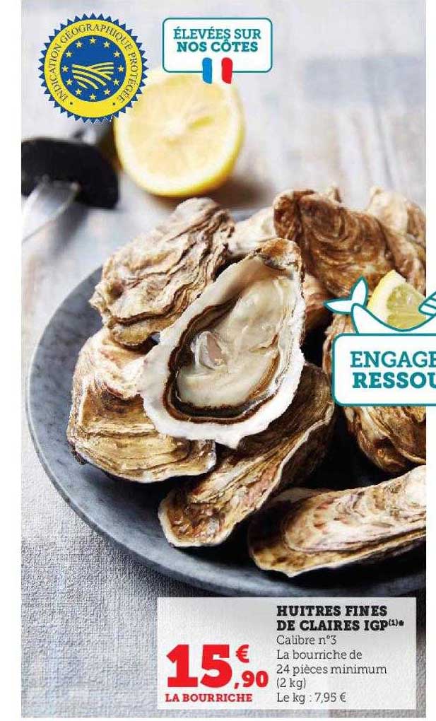 huîtres fines de claires igp
