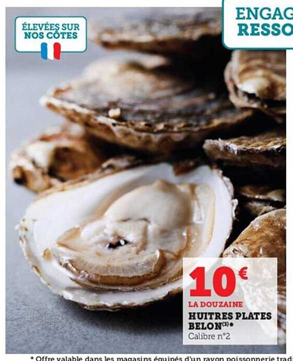 huîtres plates belon
