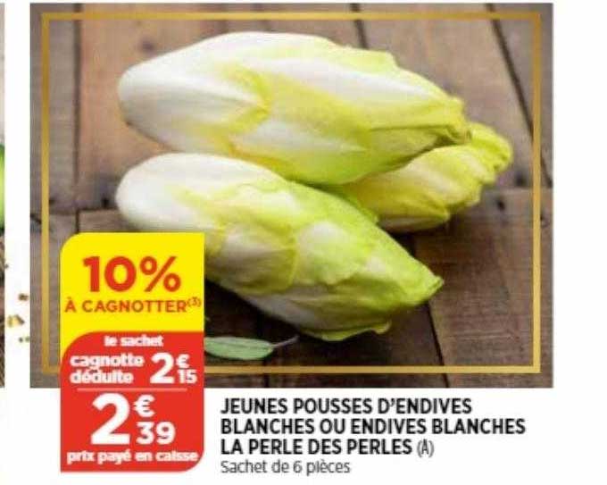 jeunes pousses d'endives blanches ou endives blanches la perle des perles