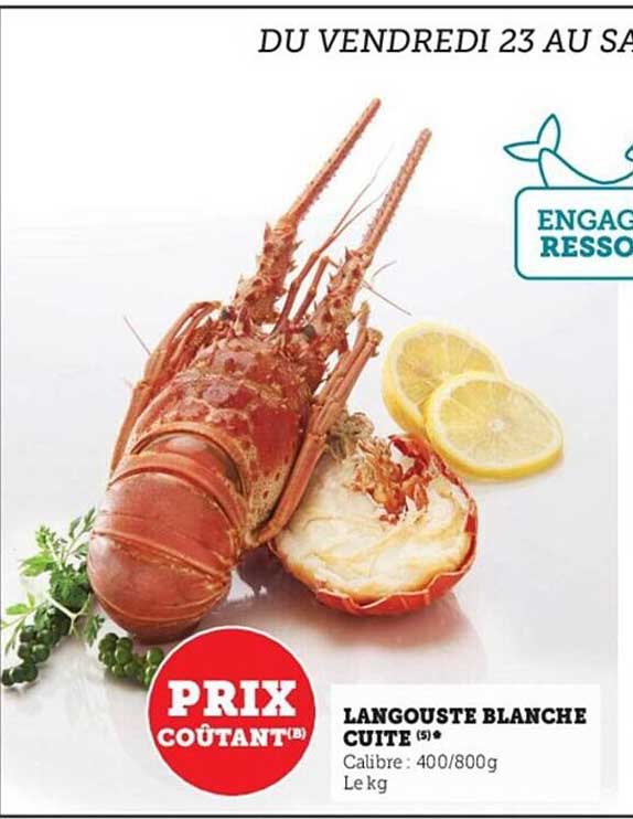 langouste blanche cuite