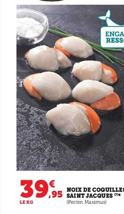 noix de coquilles saint jacques