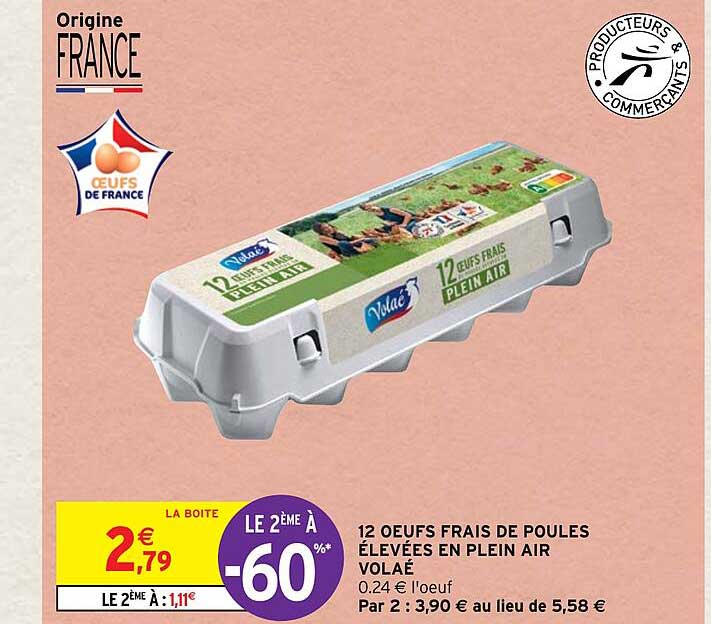 12 œufs frais de poules élevées en plein air volaé