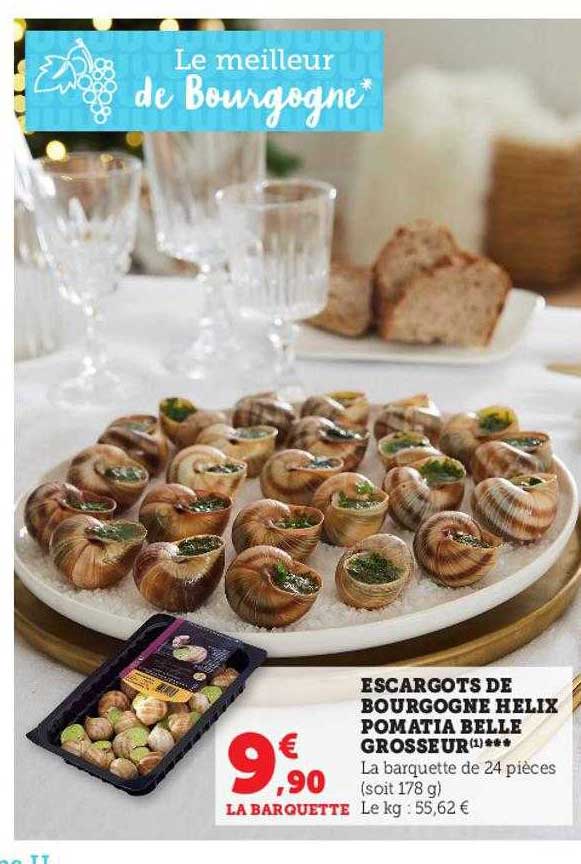 escargots de bourgogne hélix pomatia belle grosseur