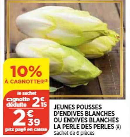 jeunes pousses d'endives blanches ou endives blanches la perle des perles