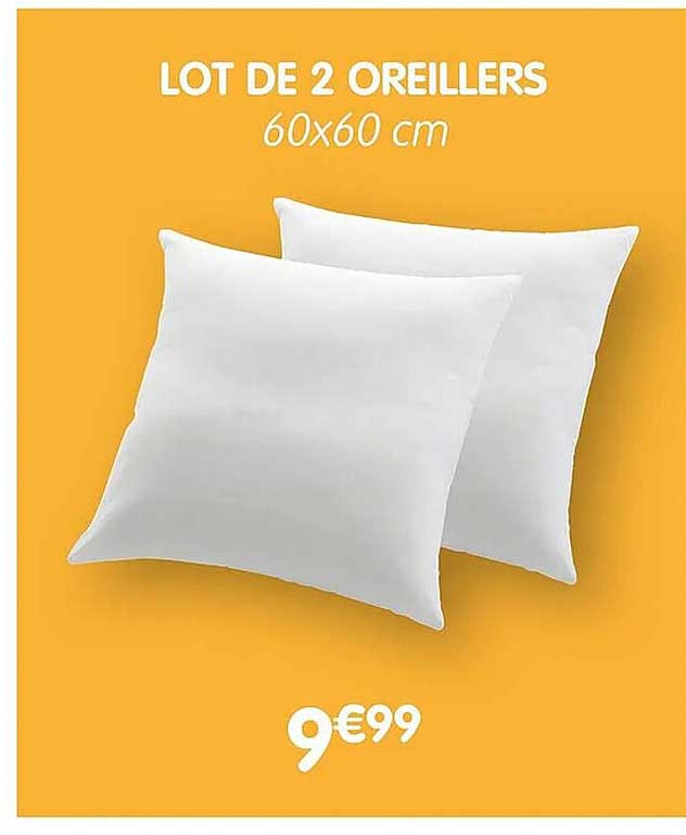 Lot De 2 Oreillers