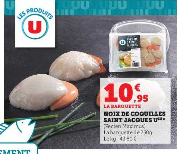 noix de coquilles saint jacques u