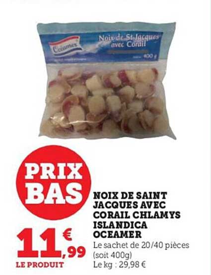 noix de saint jacques avec corail chlamys islandica oceamer