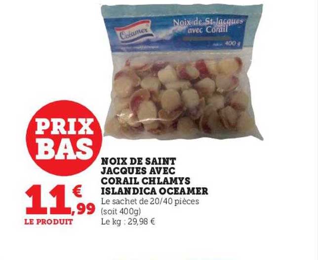 noix de saint jacques avec corail chlamys islandica oceamer